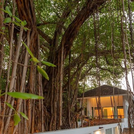 White Banyan Beach Villa, Candolim By The Acacia Villas المظهر الخارجي الصورة