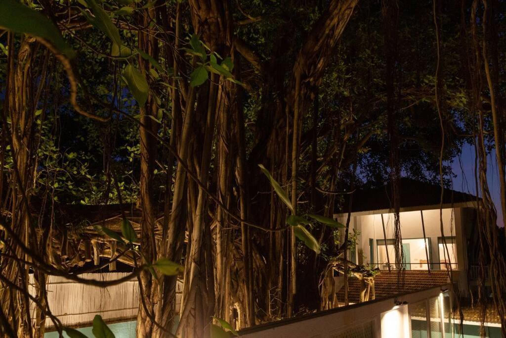 White Banyan Beach Villa, Candolim By The Acacia Villas المظهر الخارجي الصورة