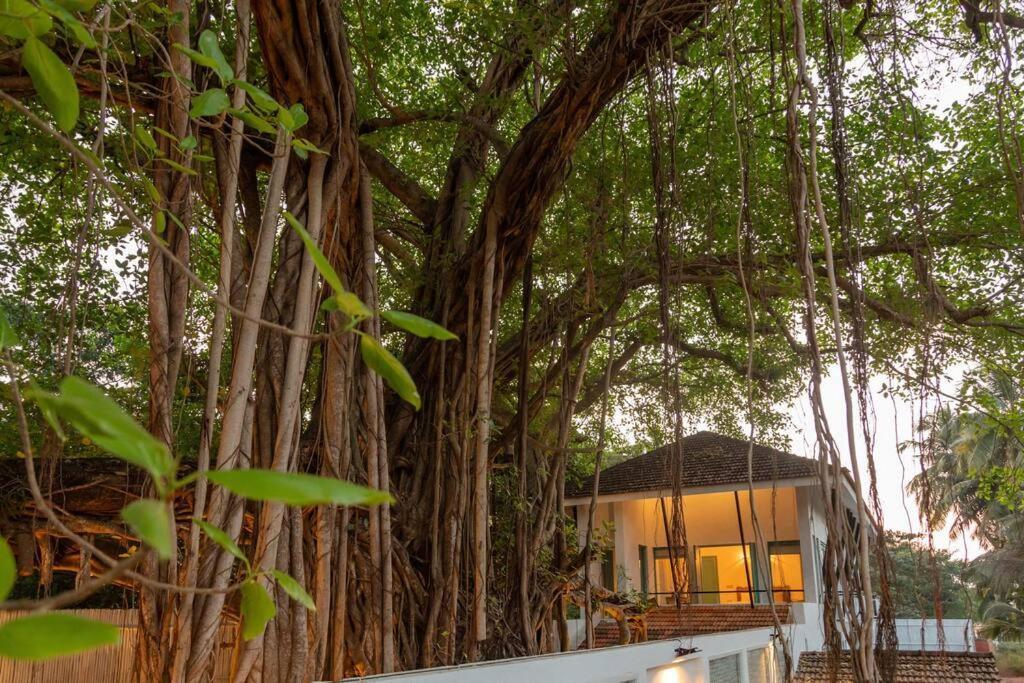 White Banyan Beach Villa, Candolim By The Acacia Villas المظهر الخارجي الصورة