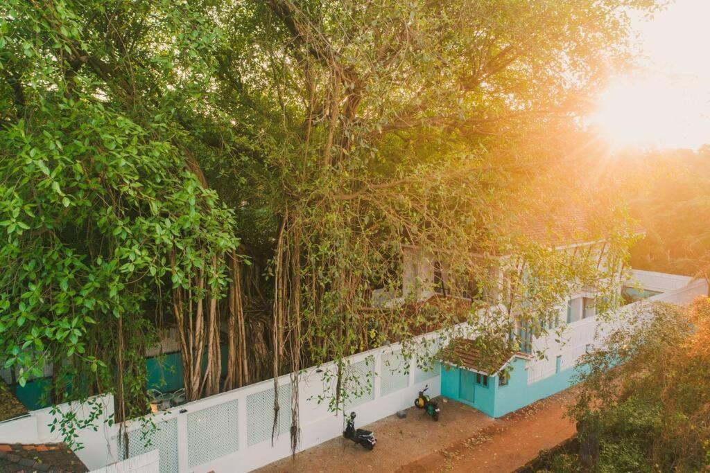 White Banyan Beach Villa, Candolim By The Acacia Villas المظهر الخارجي الصورة